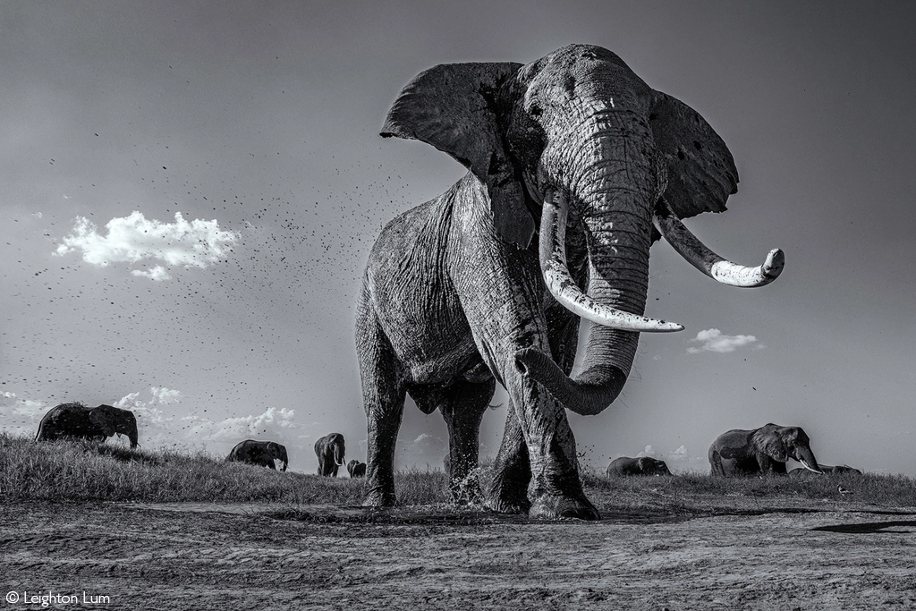 Photographer of the year 2026