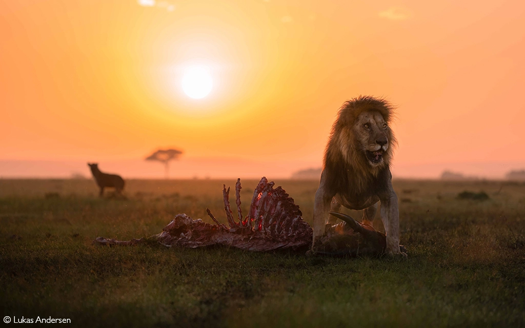 Photographer of the Year 2026