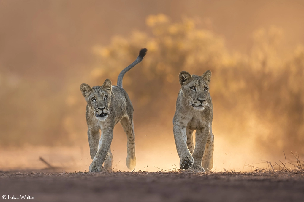 Photographer of the Year 2026