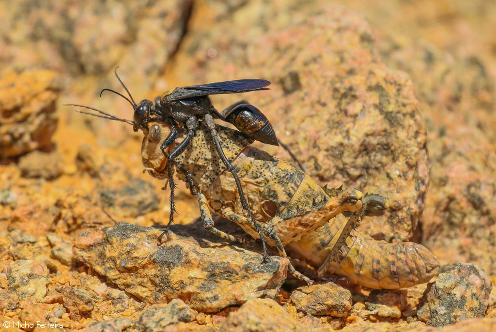 Photographer of the year 2026