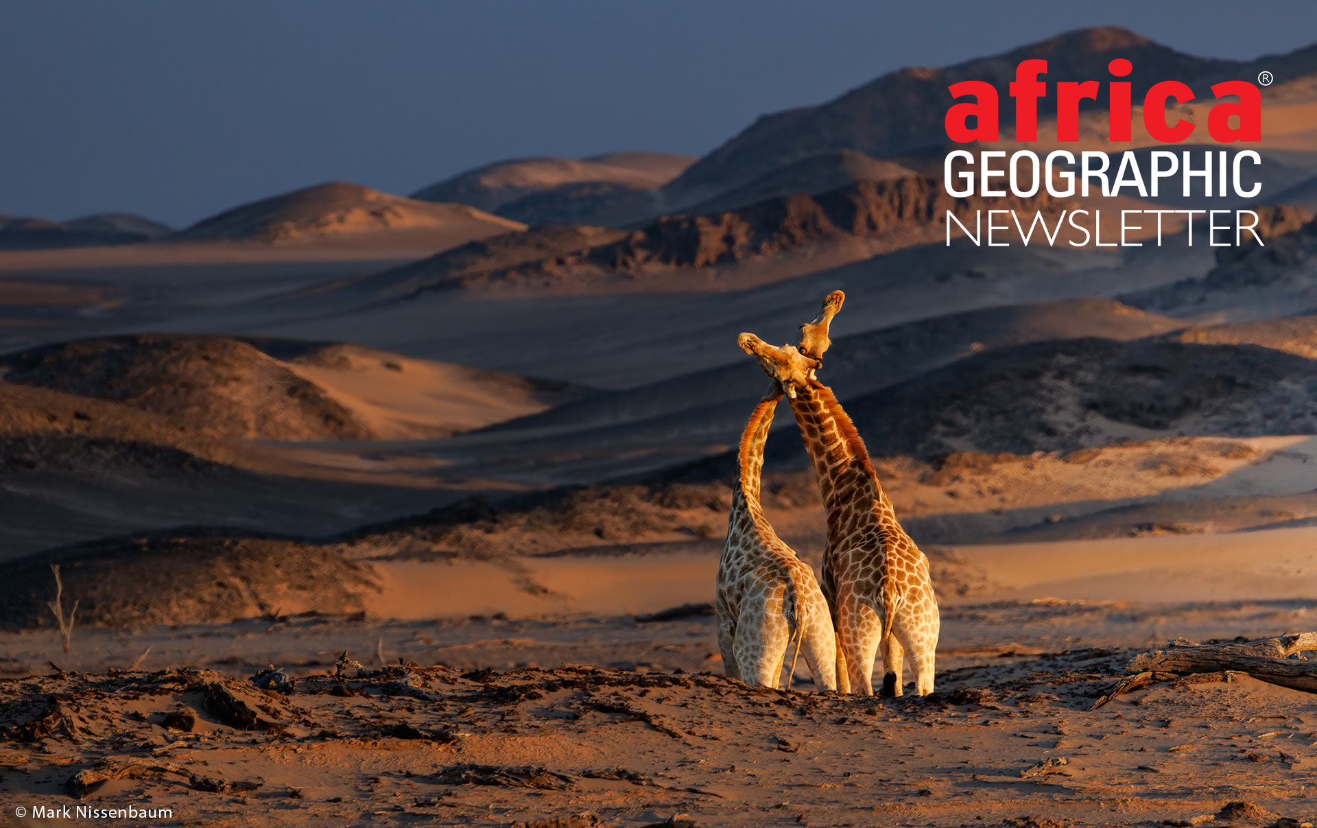 Photographer of the Year