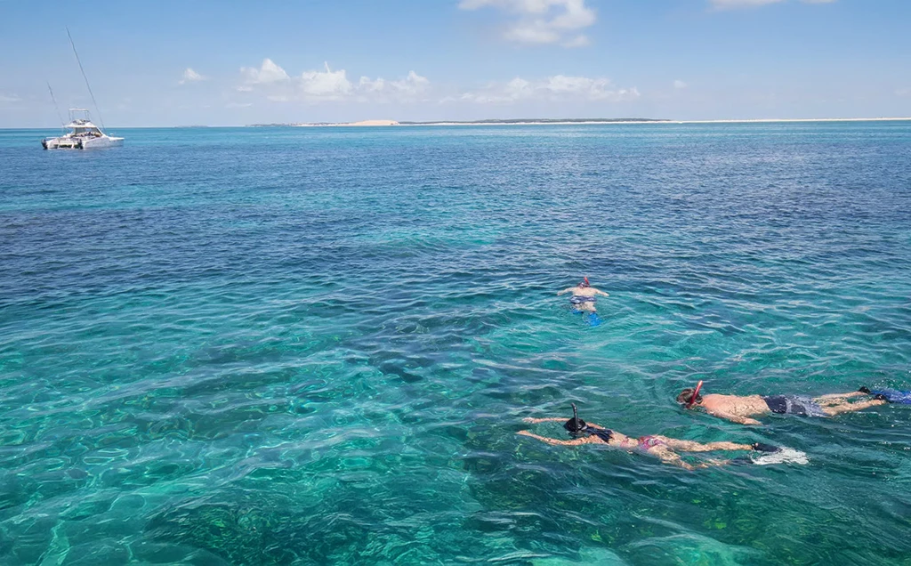 Okavango Delta and Vilanculos bush & beach safari - 12 days