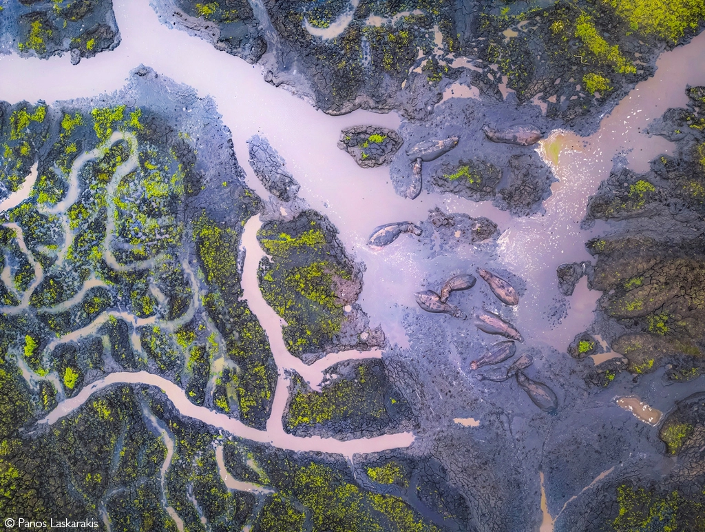 photographer of the year 2026