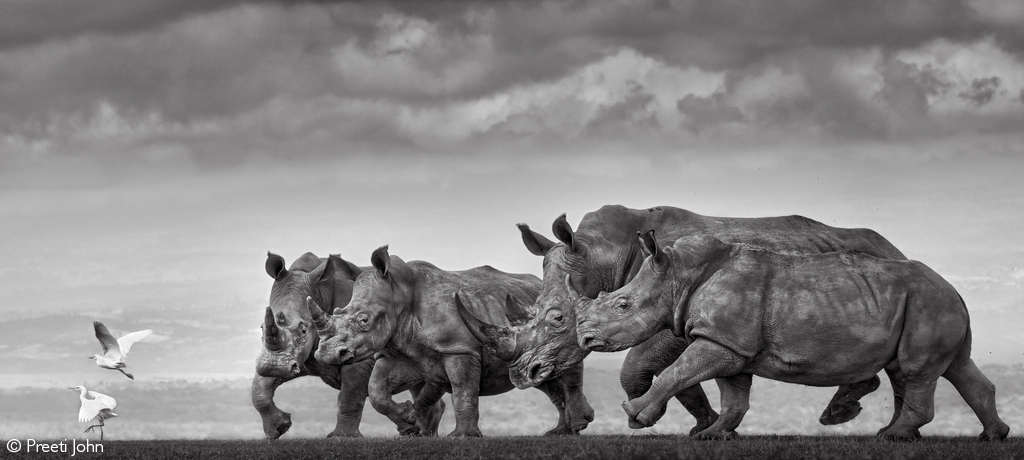 Photographer of the year 2026