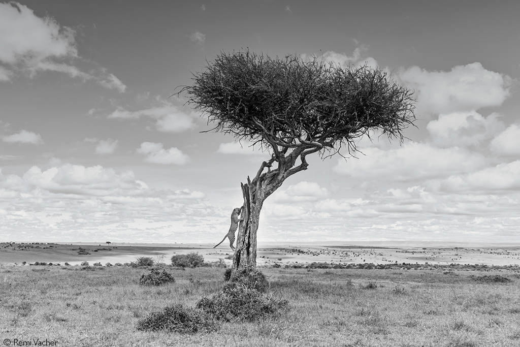 Photographer of the Year 2026