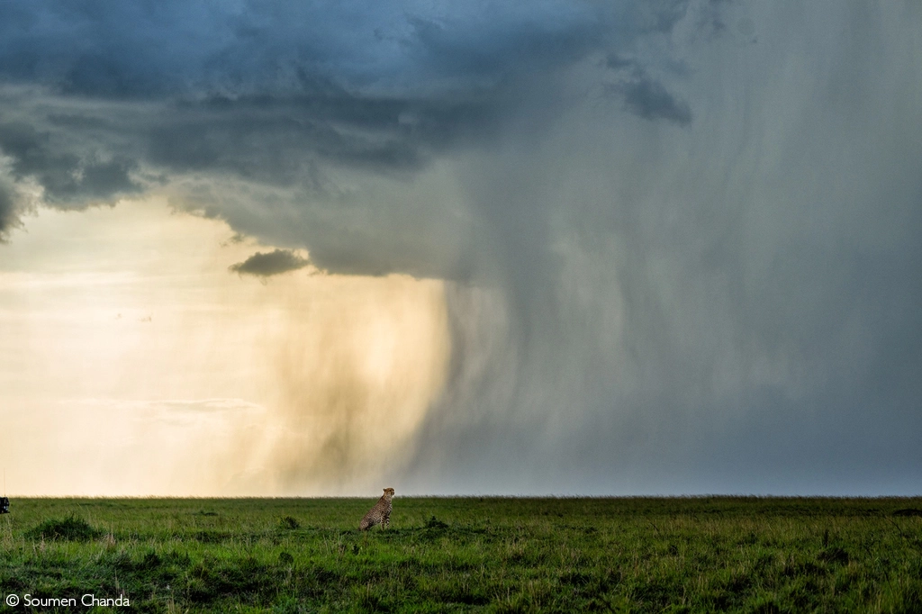 Africa Geographic safari