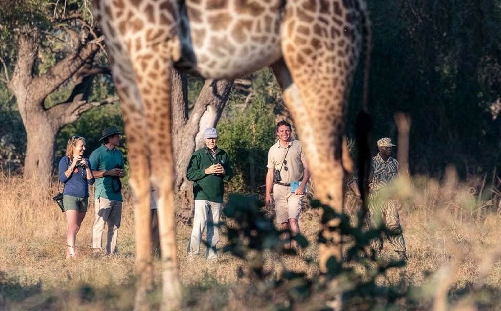 South Luangwa, Victoria Falls & Lake Malawi safari - 13 days