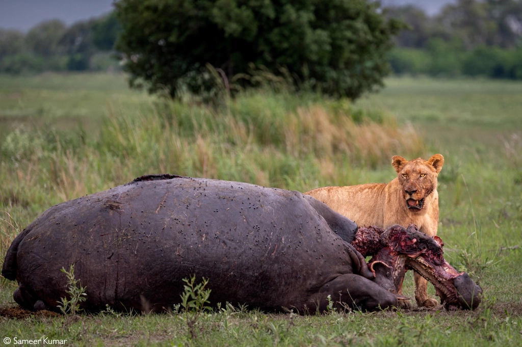 photographer of the year 2026