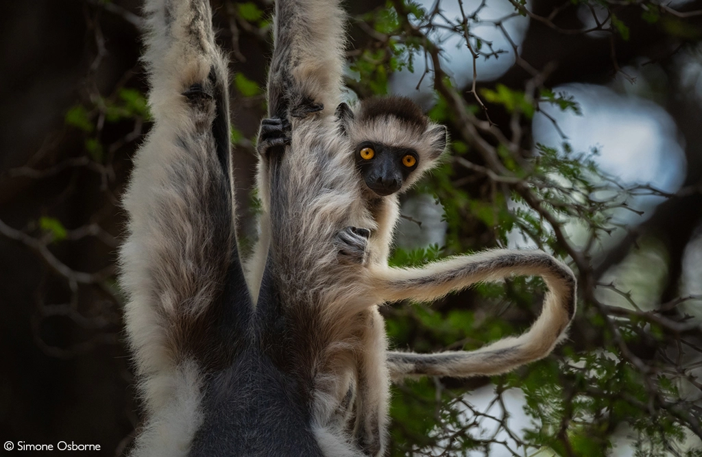 Photographer of the Year 2026