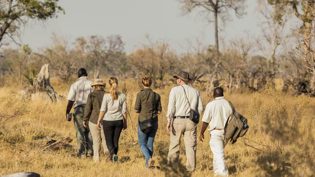 Safari packing