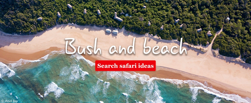 Bush and beach safari