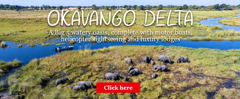 Okavango Delta
