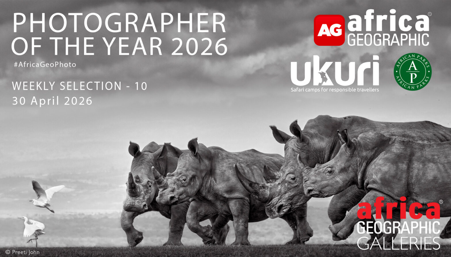 Photographer of the Year