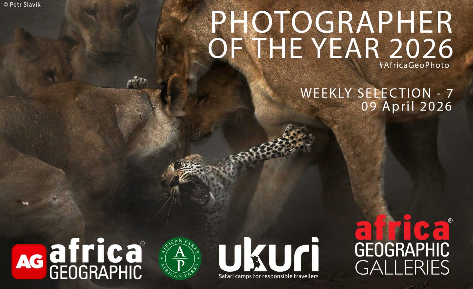 Photographer of the Year