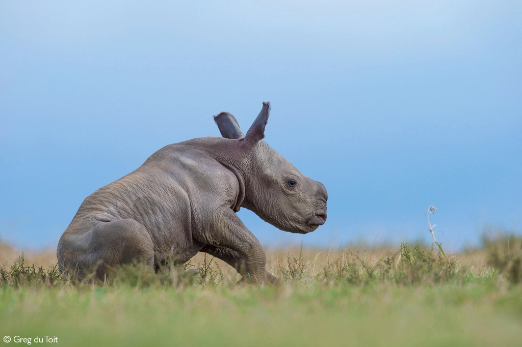 photographer of the year 2026