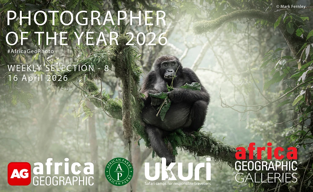 Photographer of the Year 2026 Weekly selection 8