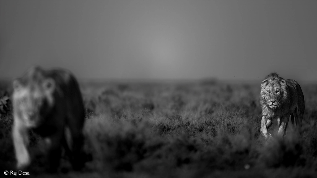 Photographer of the Year 2026