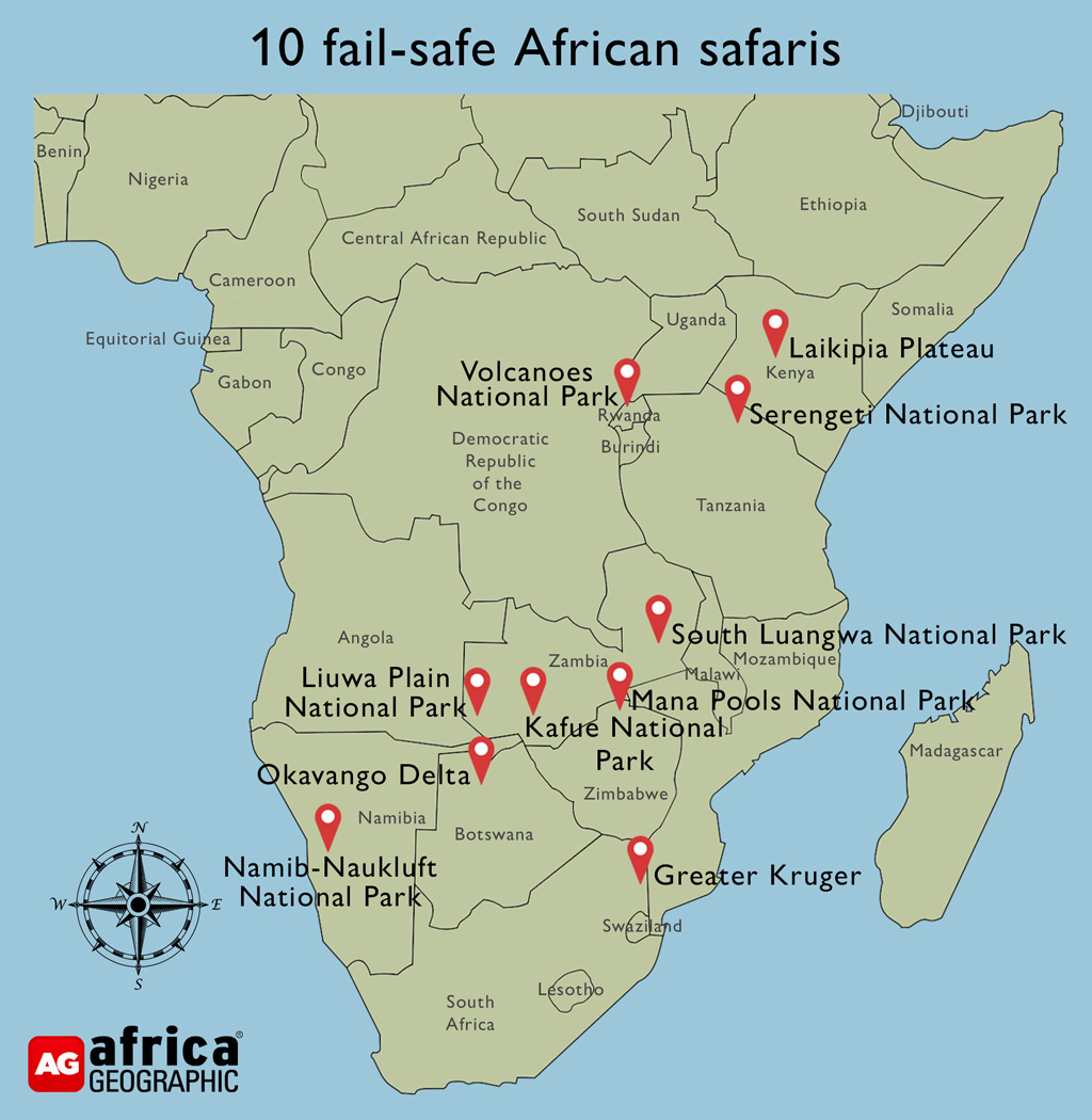 African safari