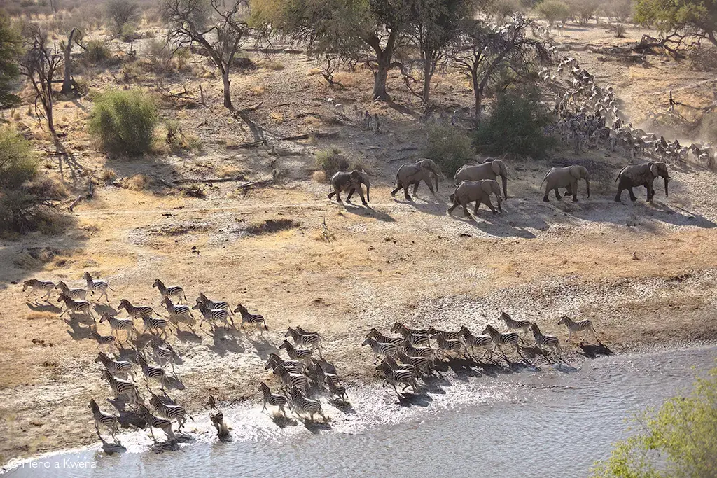 Makgadikgadi