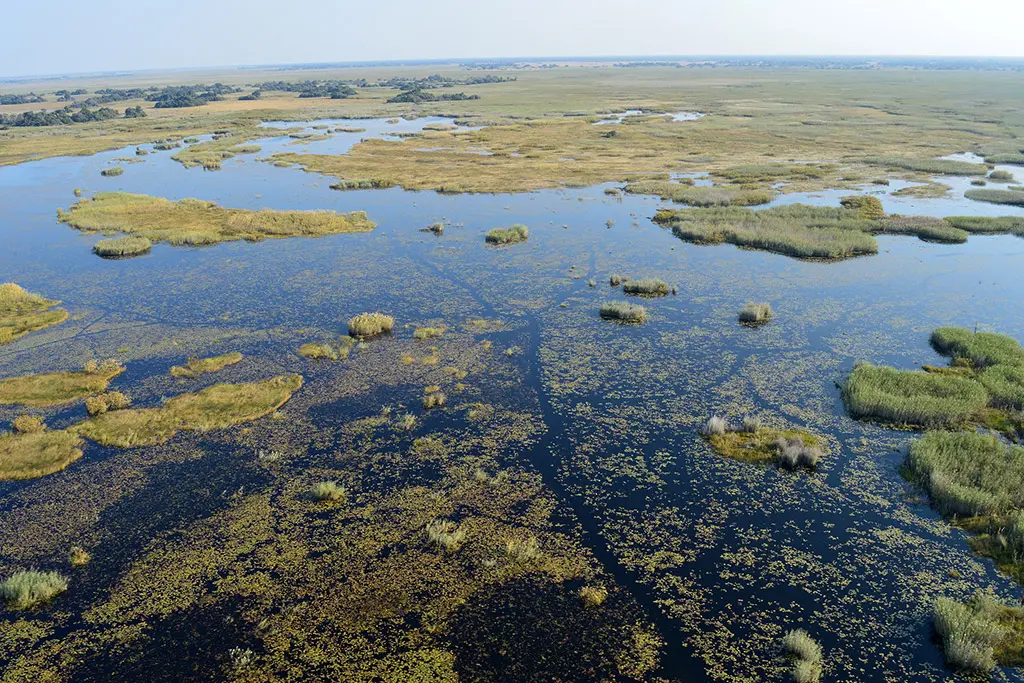 Okavango Delta