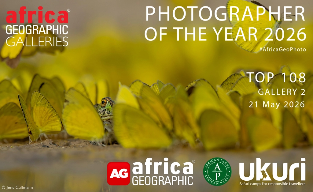 Photographer of The Year 2026 - Gallery 2