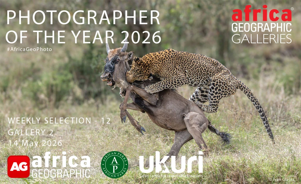 Photographer of The Year 2026 - gallery 2