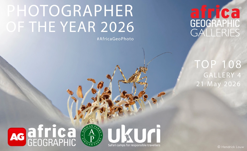 Photographer of The Year 2026 - Gallery 4