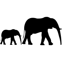 Tembe