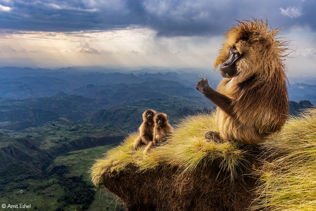 Photographer of the year 2026