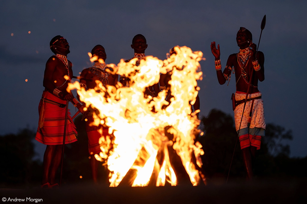 Africa Tours