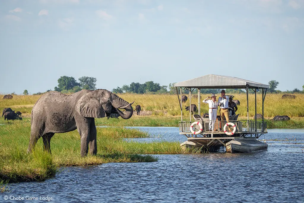 Botswana safari