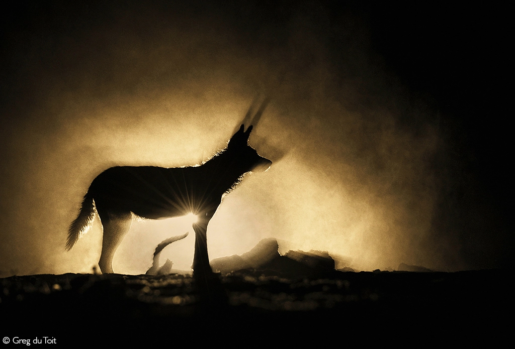 Photographer of the year 