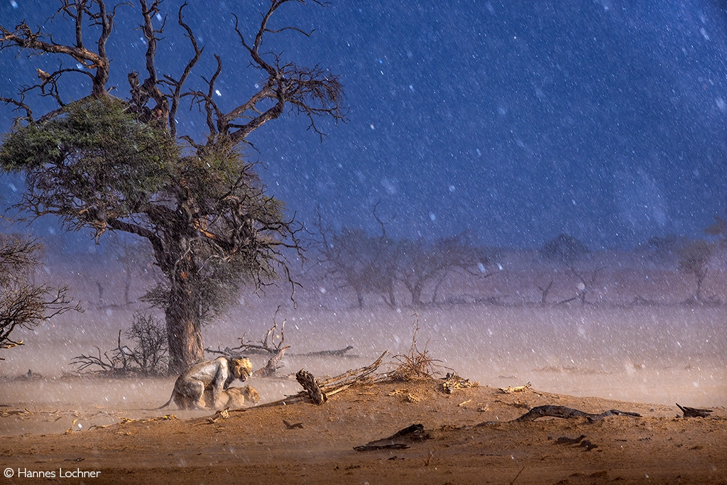 Africa Geographic safari