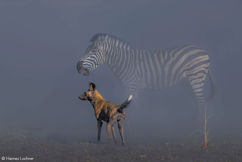 Photographer of the year 2026