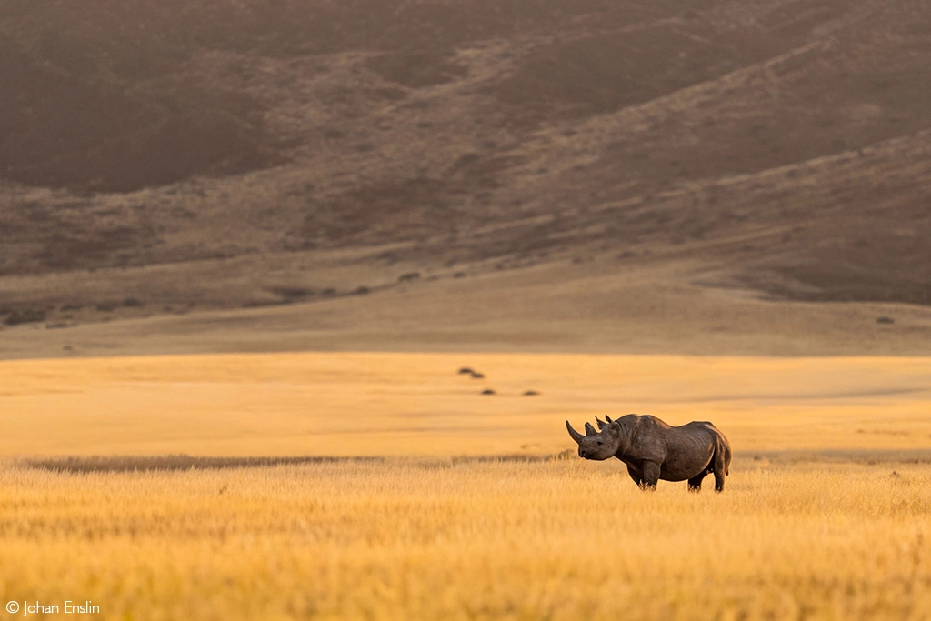 Africa Geographic safari