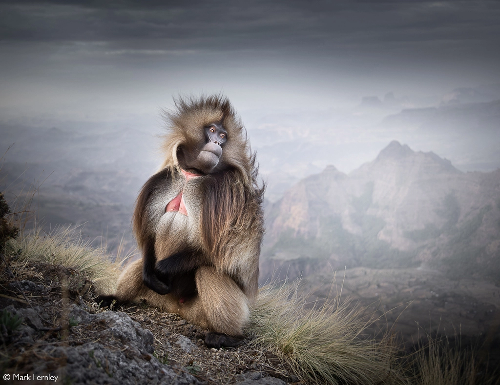 Photographer of the year 2026