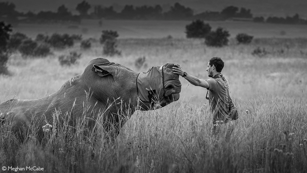 Africa Geographic safari