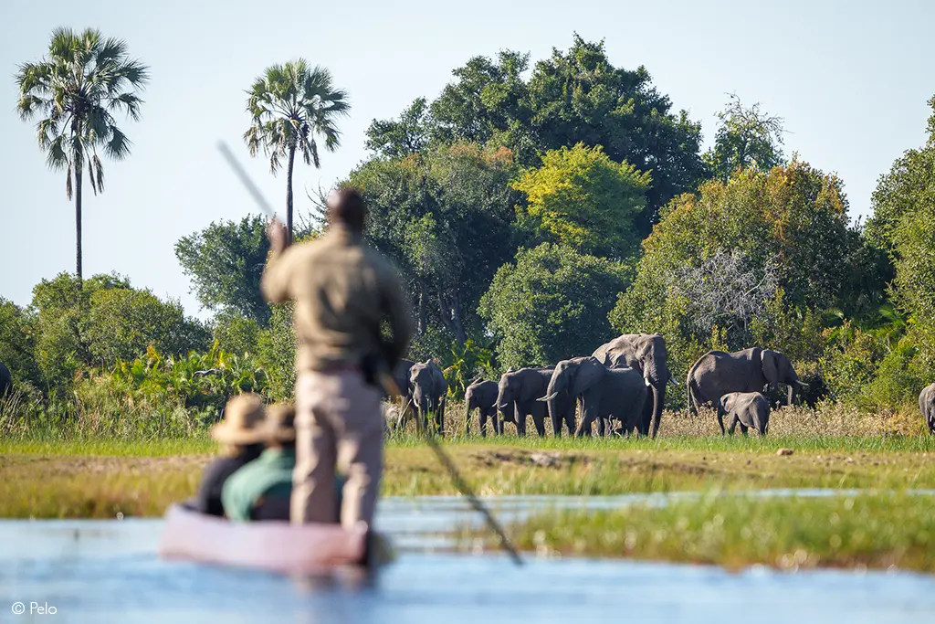 Okavango 