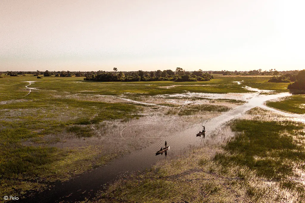 Okavango Delta