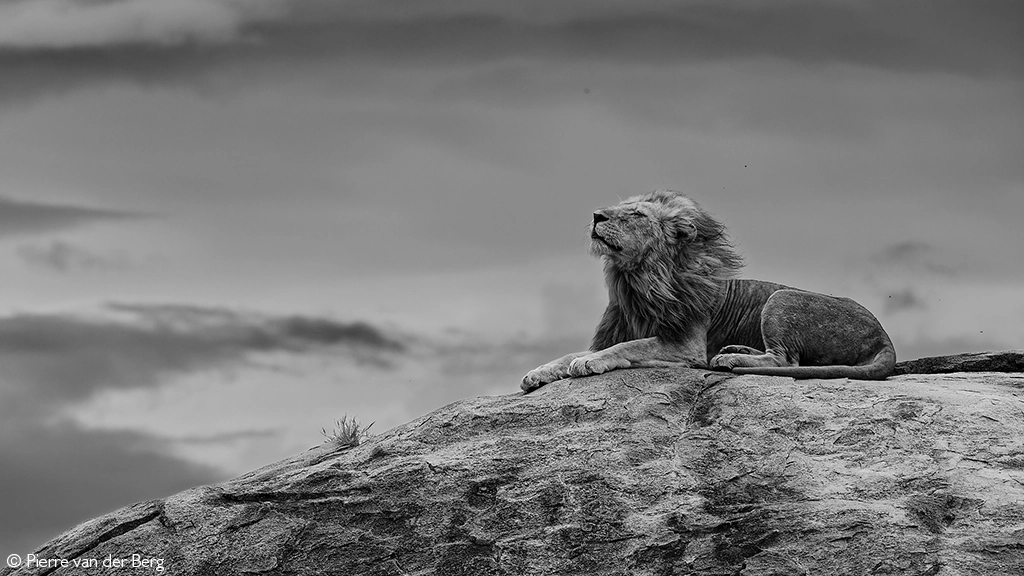 Africa tours