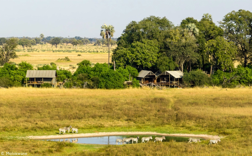 Okavango Delta celebration - 11 days