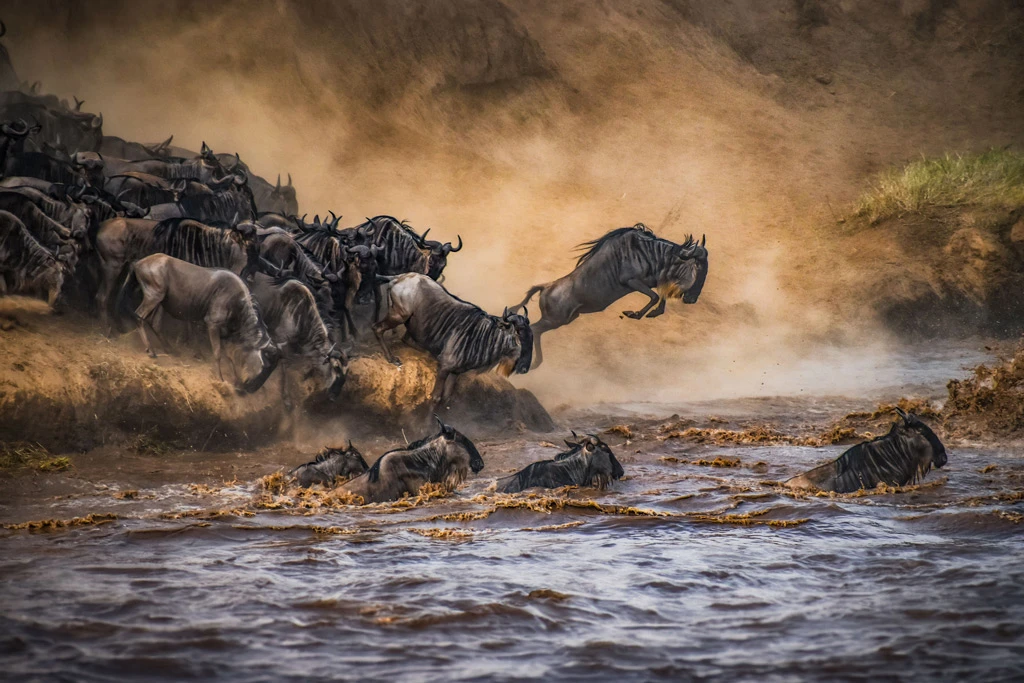 The iconic Kenya safari - 12 days