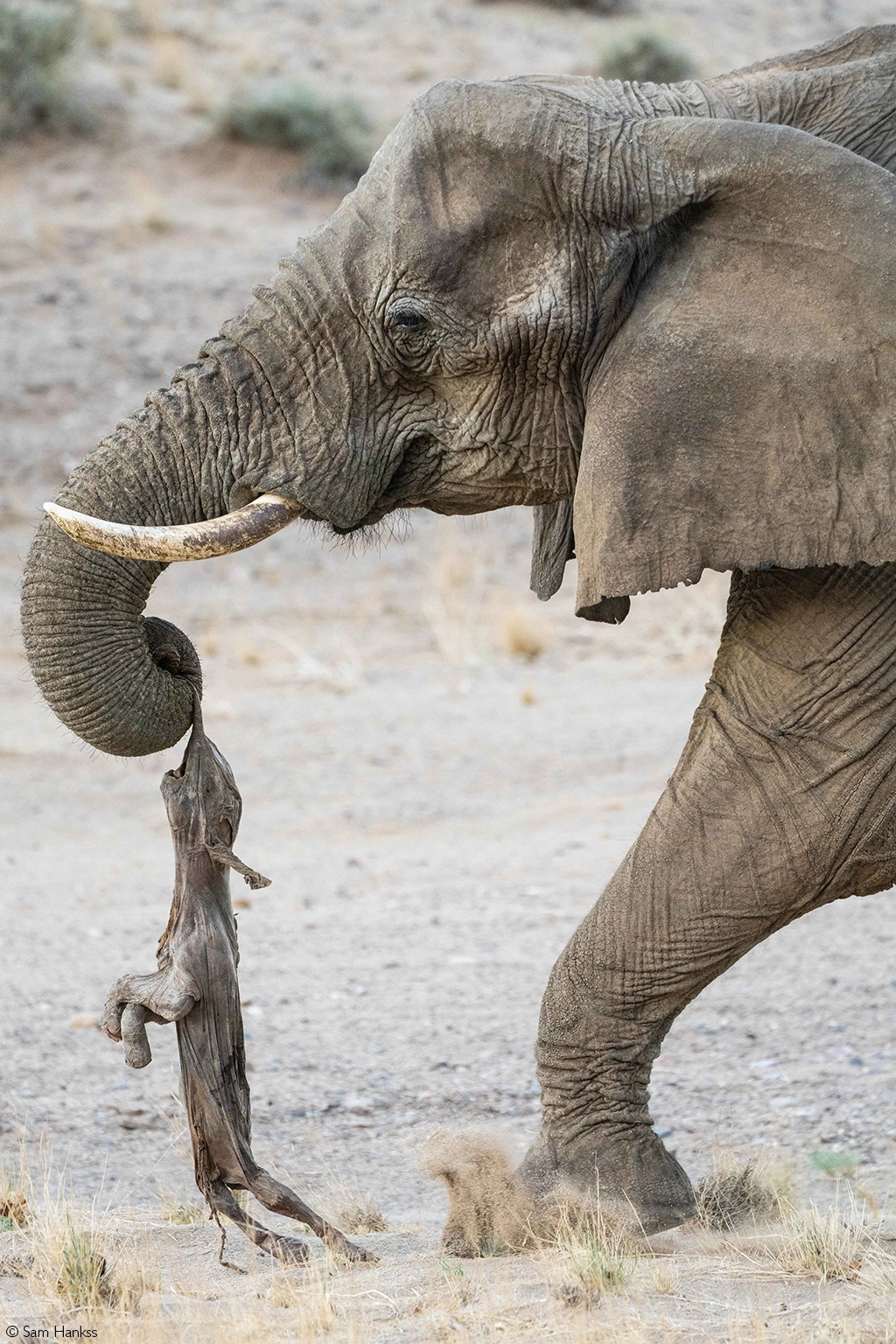 Africa tours