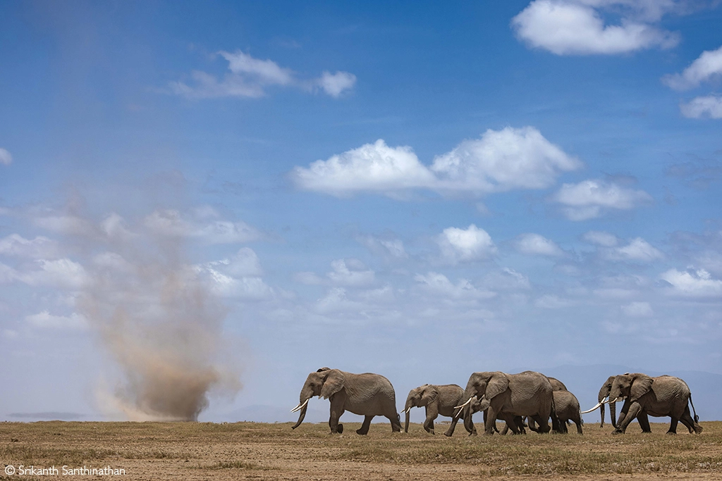 Africa tours