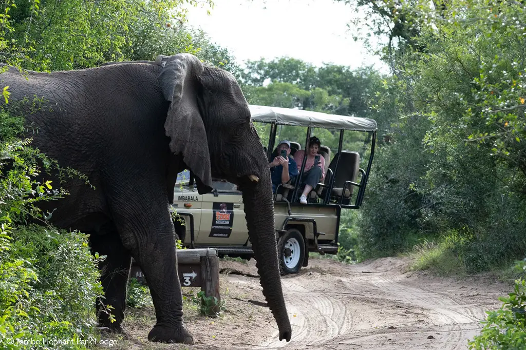 Tembe Elephant Park
