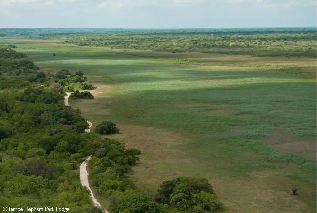 Tembe Elephant Park