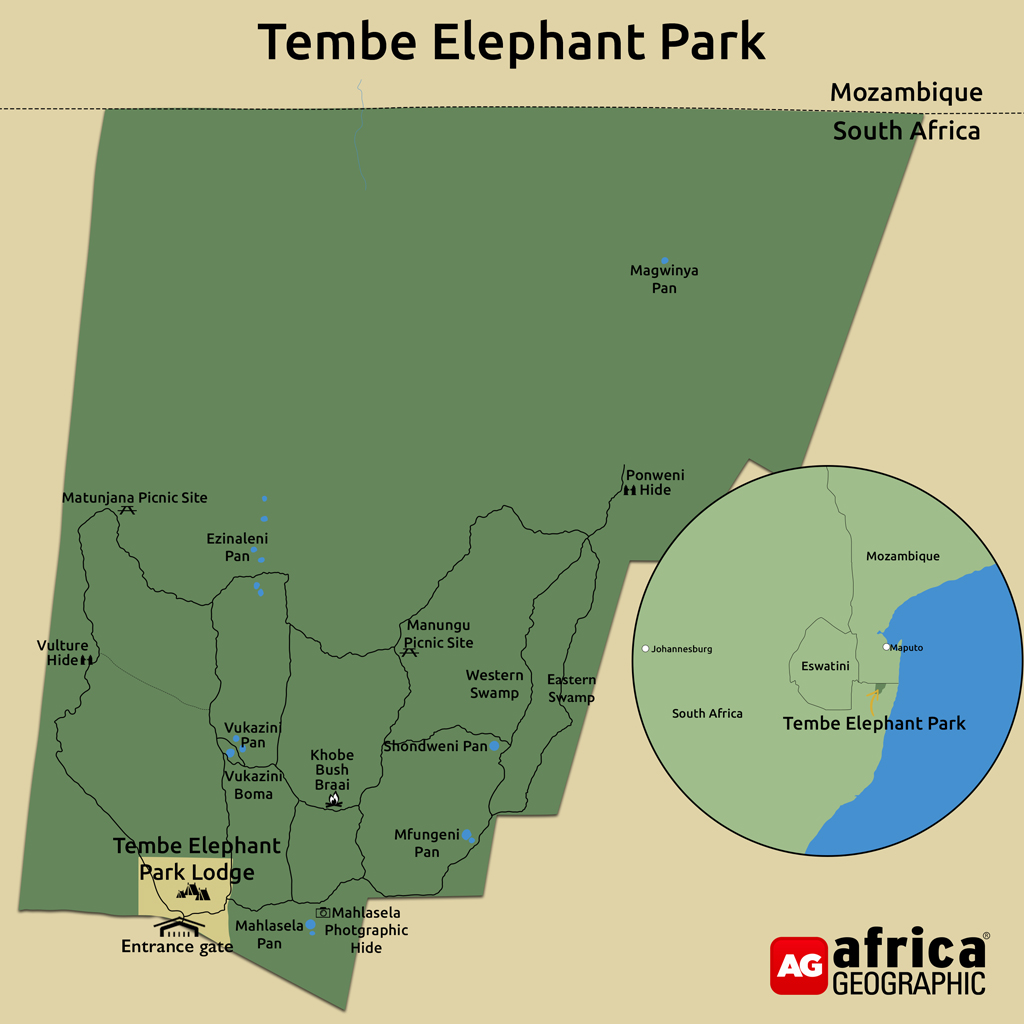 Tembe