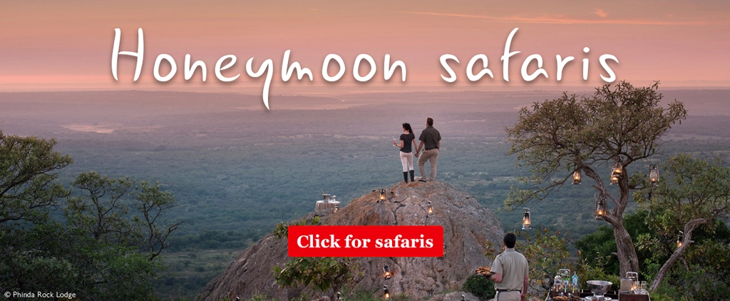 Honeymoon safaris