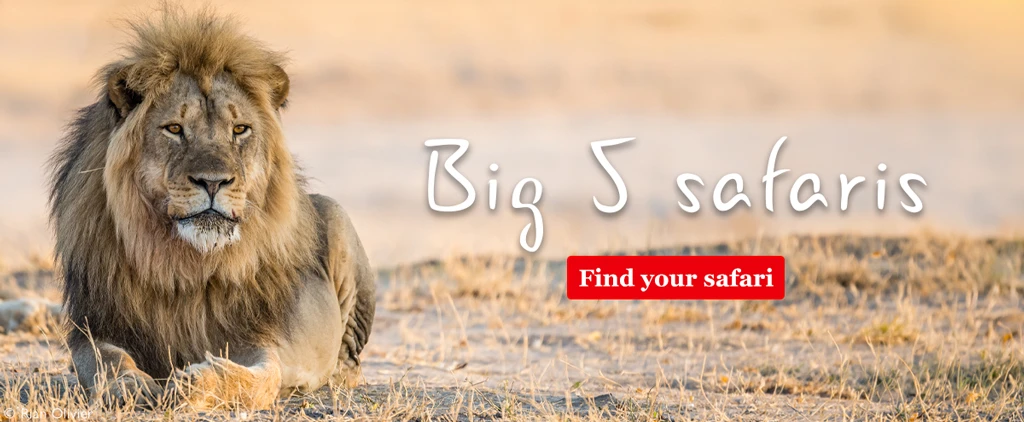 Big 5 safari