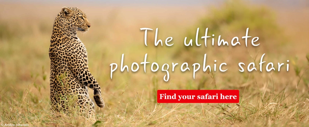 The ultimate photographic safari